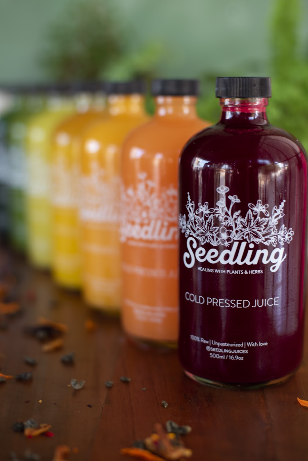 Medical Medium Cleanse