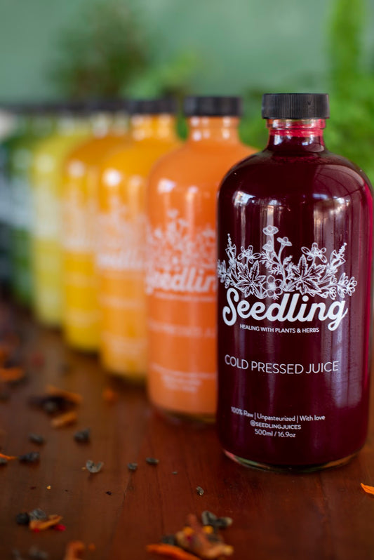 Body & Mind Cleanse