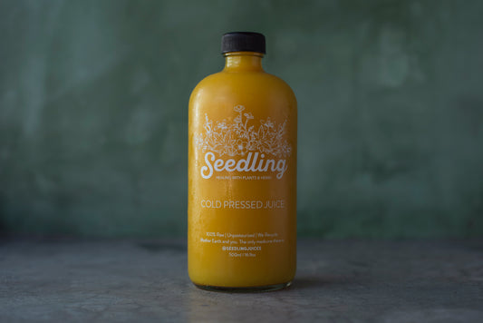 Garlic Tonic - Garlic, lemon, turmeric, ginger, raw honey
