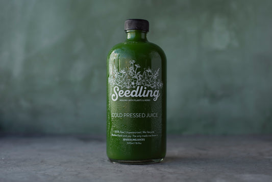 Veggie Lover - Chayote, zuchinni, spinach, lettuce, parsley, apple, basil, mint, lime,