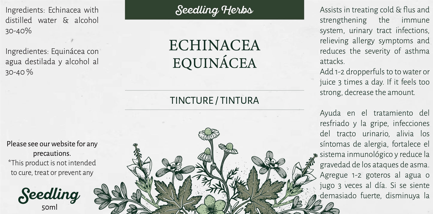 Echinacea