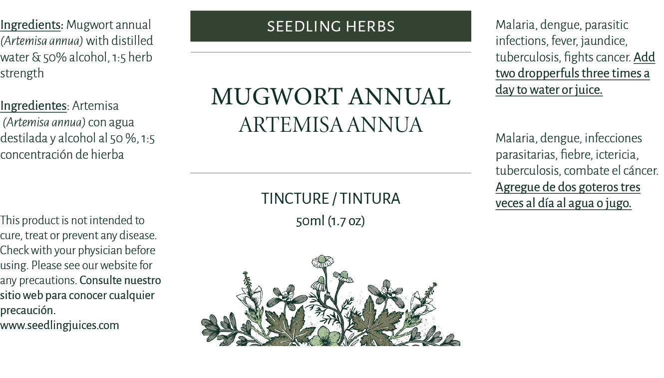 Mugwort Annual