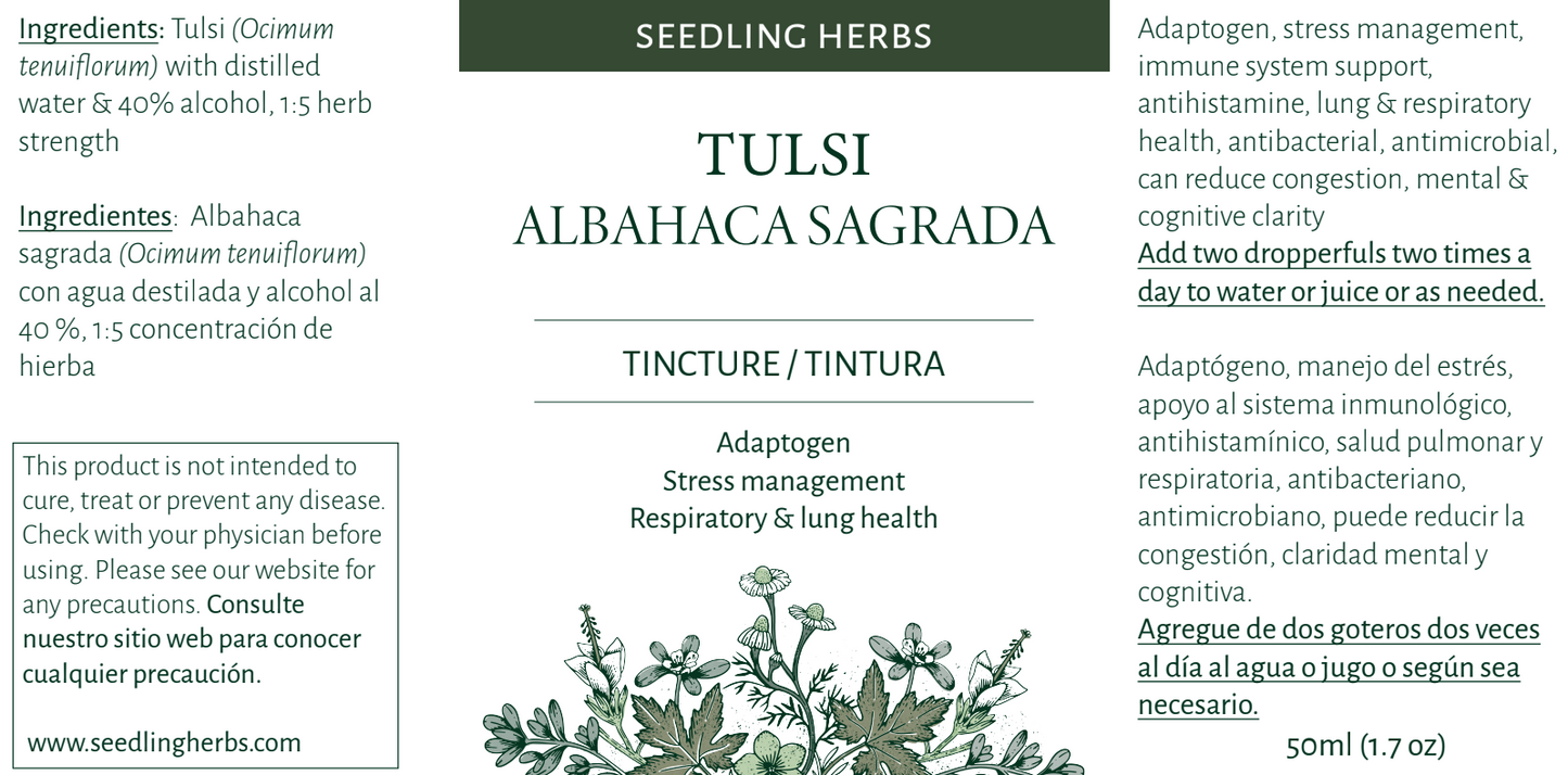Tulsi / holy basil